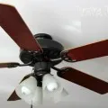 How to spray paint a ceiling fan