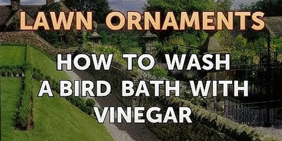 How do you clean a bird bath with vinegar?
