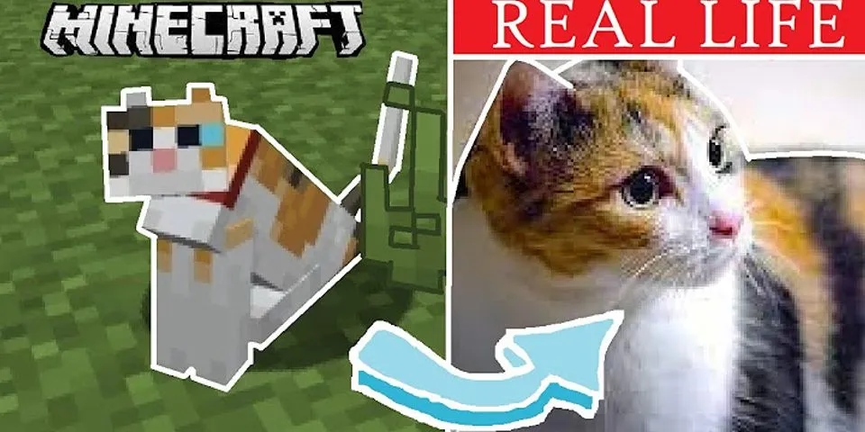 What is the rarest type of cat in Minecraft?